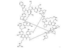 精氨酸/赖氨酸多肽
